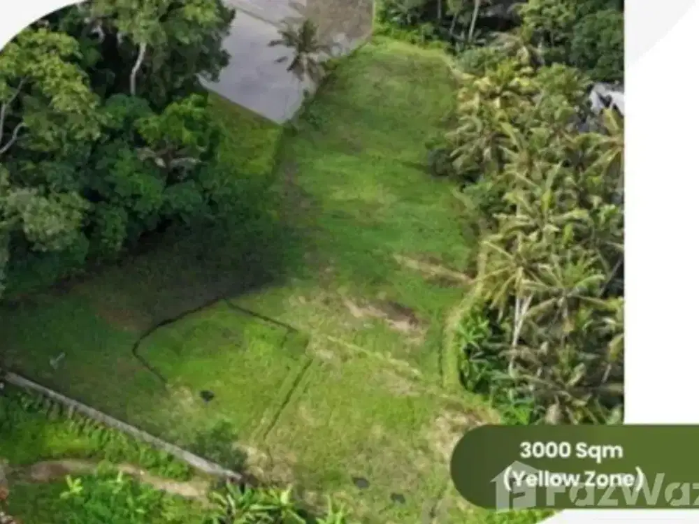 Land for sale in Ubud, Bali
