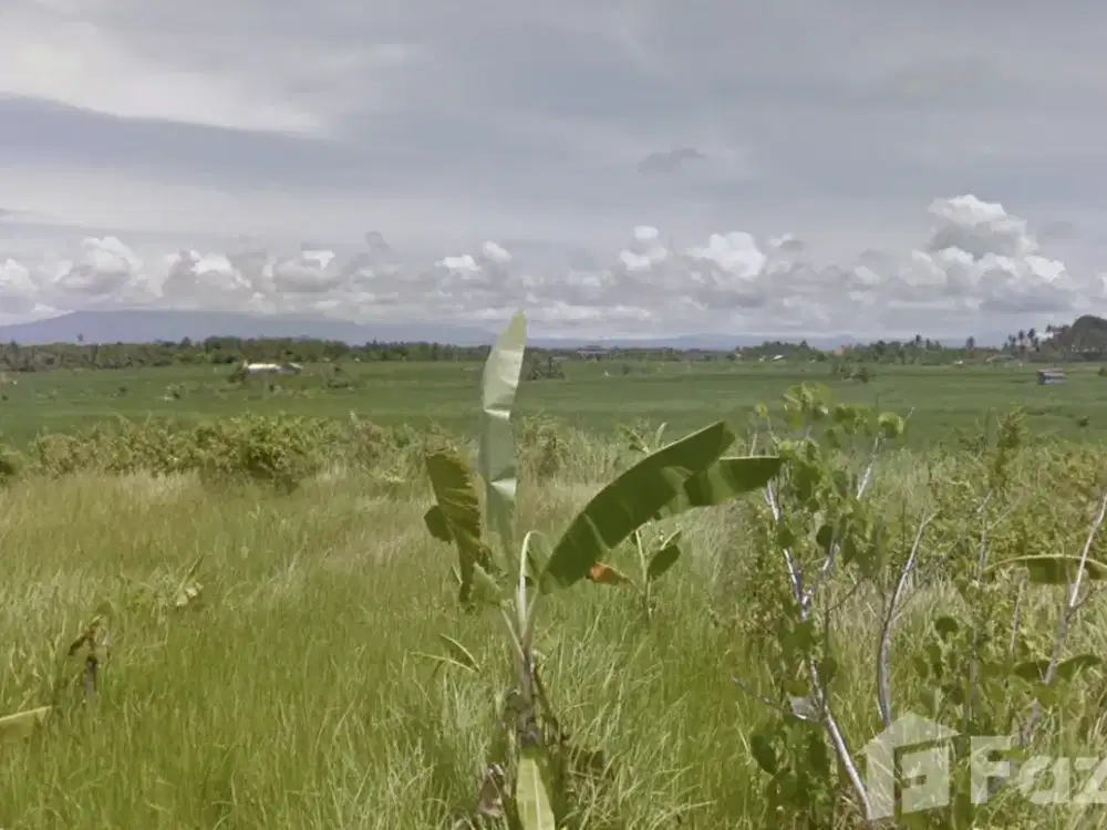 Land for sale in Cemagi, Bali