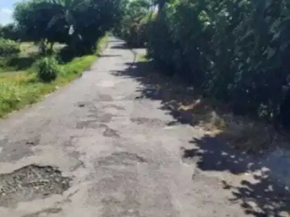 Land for sale in Denpasar Selata, Bali