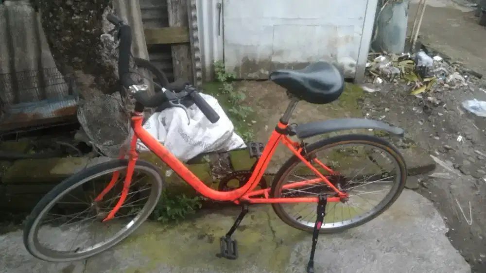 Sepeda minion Phoenix bekas