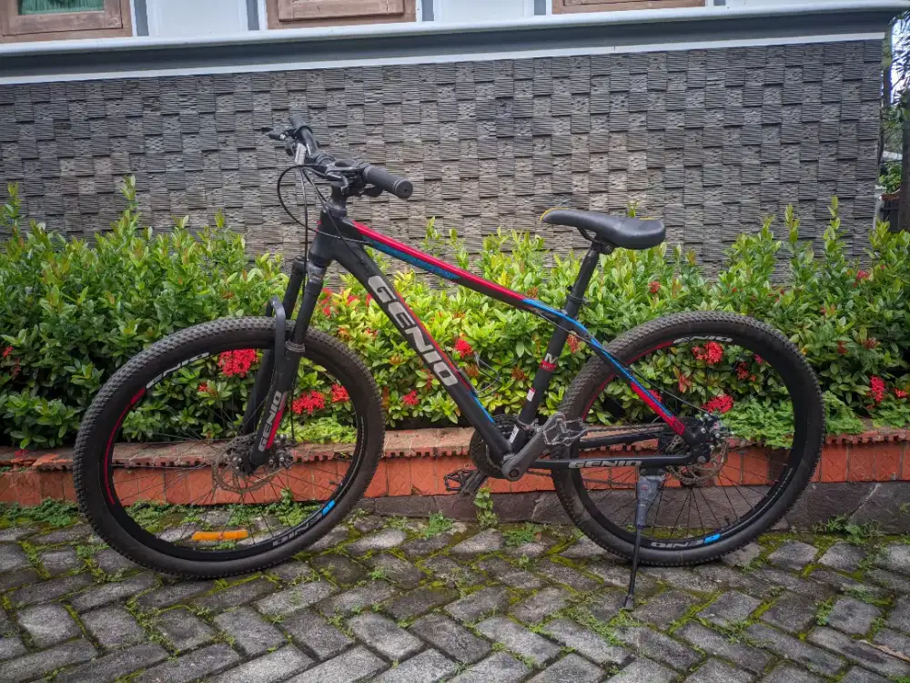 Sepeda gunung MTB Genio M572
