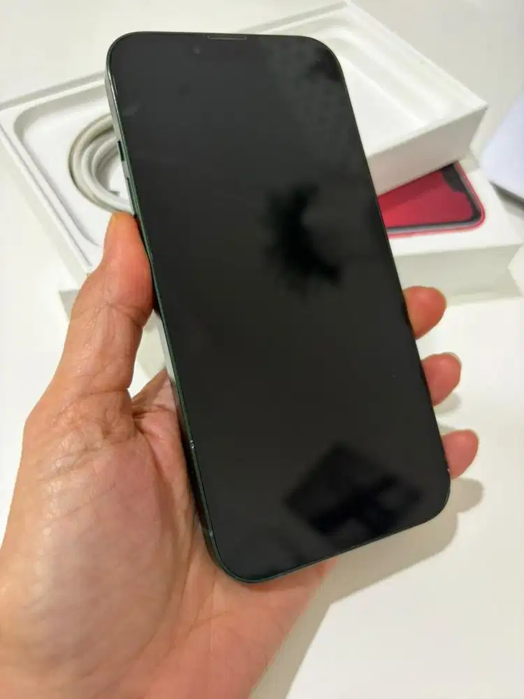 iPhone 13 Alpine Green 256GB