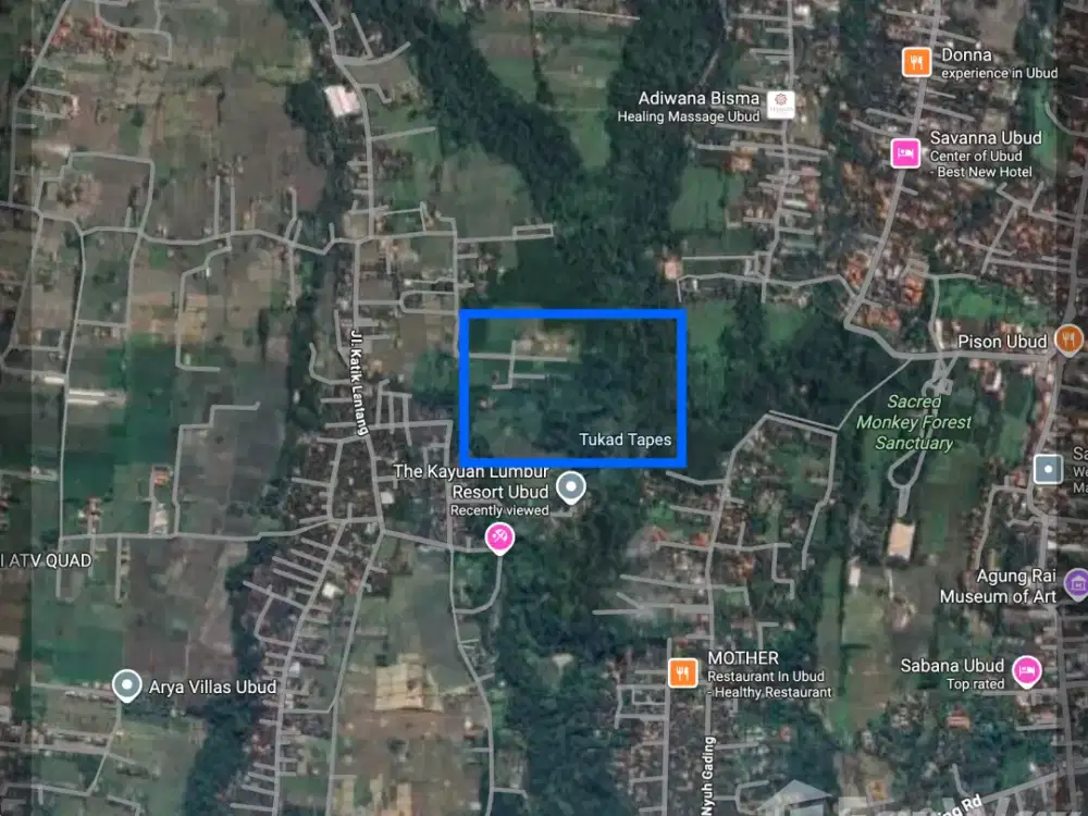 Land for sale in Ubud, Bali