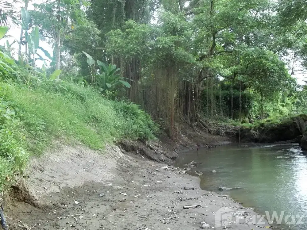 Land for sale in Mengwi, Bali