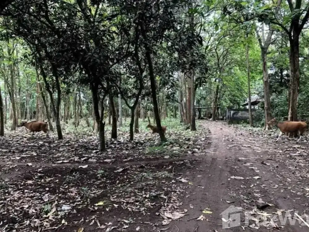 Land for sale in Kaba Kaba, Bali