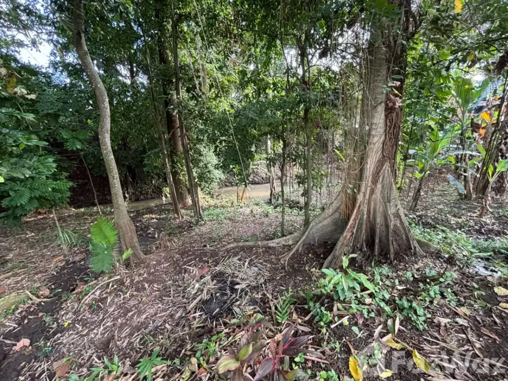 Land for sale in Mengwi, Bali