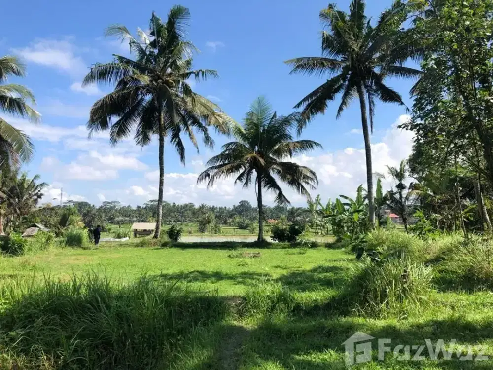 Land for sale in Ubud, Bali