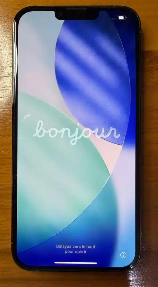 IPhone 13 ProMax 256 GB (mulus komplit)