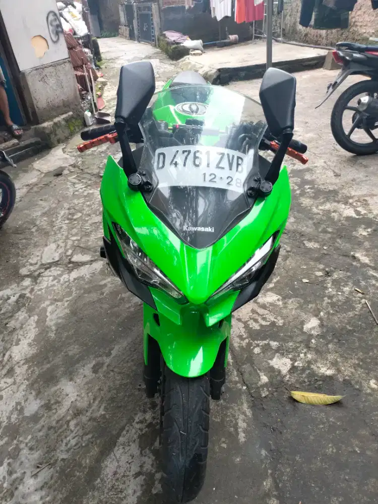 Kawasaki Ninja 250