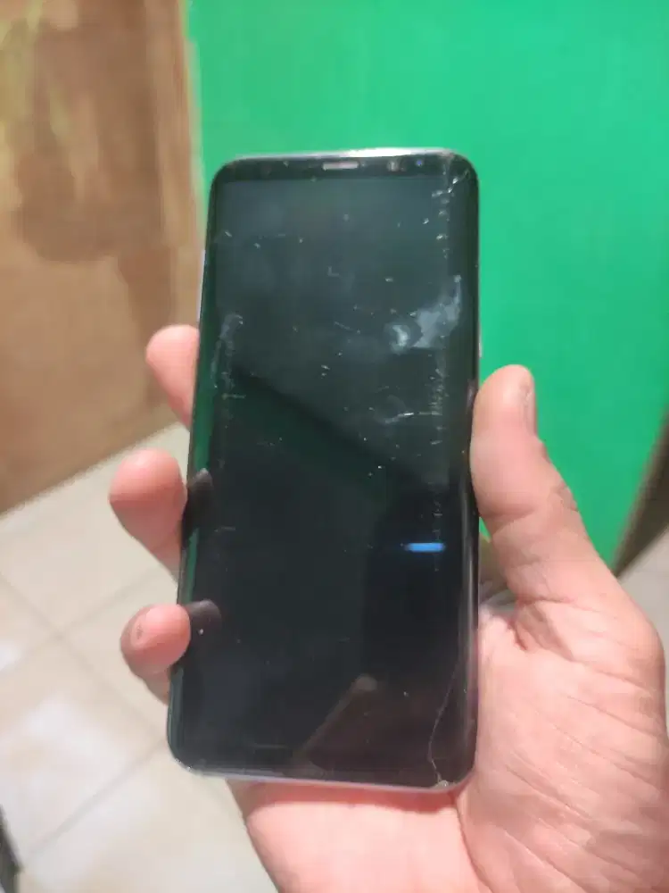 Samsung S8 Plus (minus)