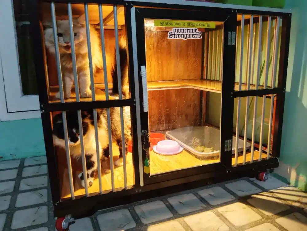 Dijual murah kandang kucing + 2 kucing persia ( betina)