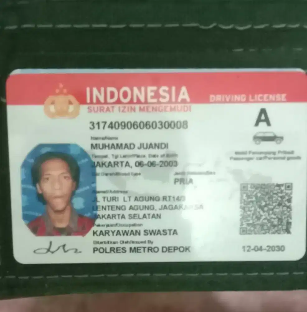 Supir peribadi rumah tangga