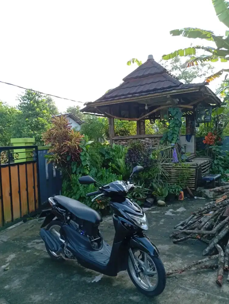 jual beat pop tt juga bisa!