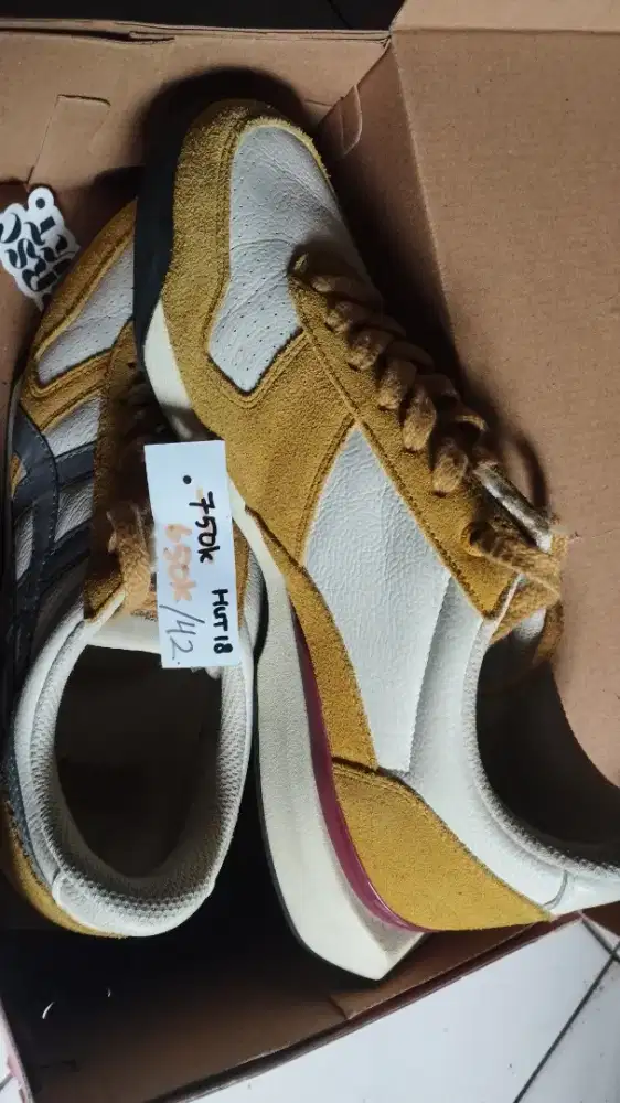 Onitsukatiger runing