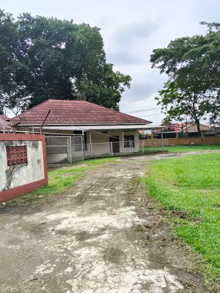 Dibutuhkan art untuk rumah dinas