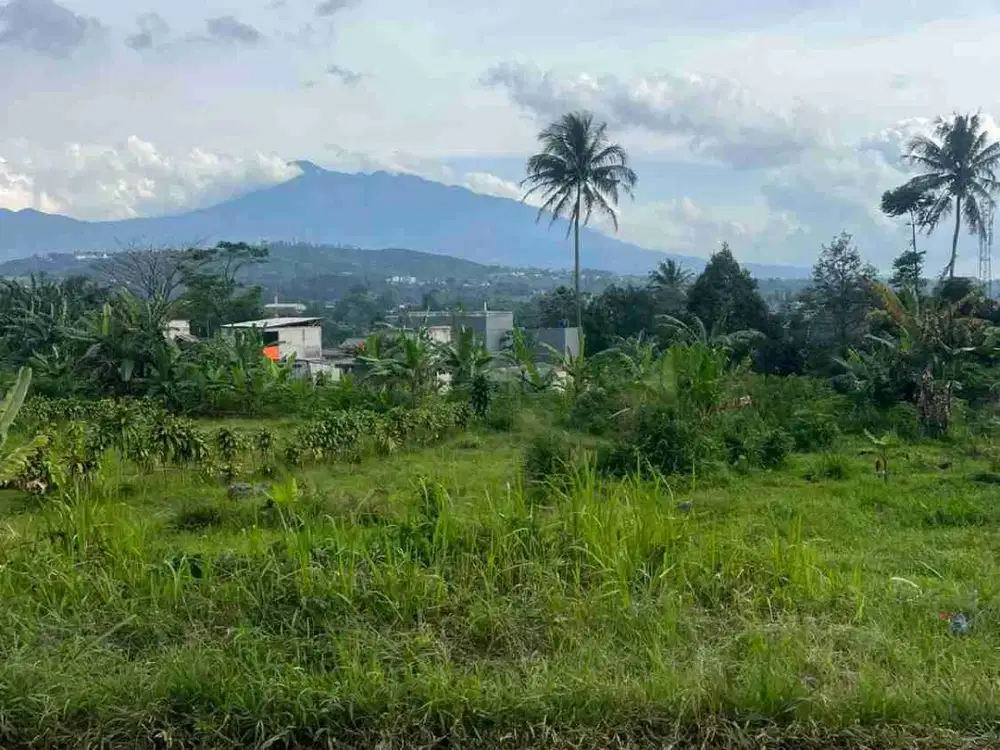 Dijual tanah seluas 4000  m2 alamat lokasi Megamendung jalan alternatif puncak harga 700 ribu per meter view gunung pangrango lokasi tidak kena macet dari tol sumarecon hanya 15 menit