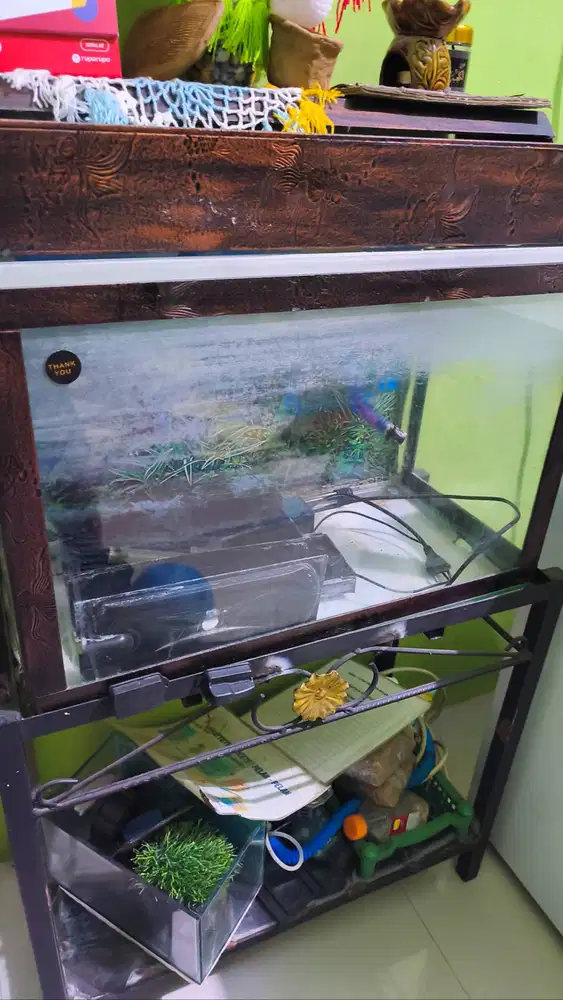 Jual Aquarium dan rak meja serta perlengkapannya