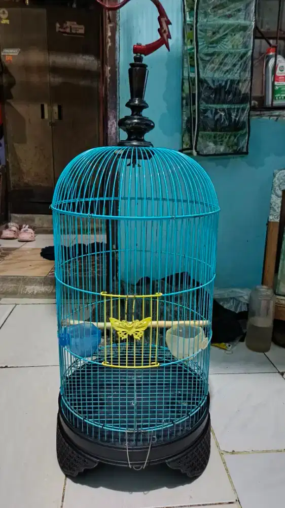 Kandang lb pintu tengah