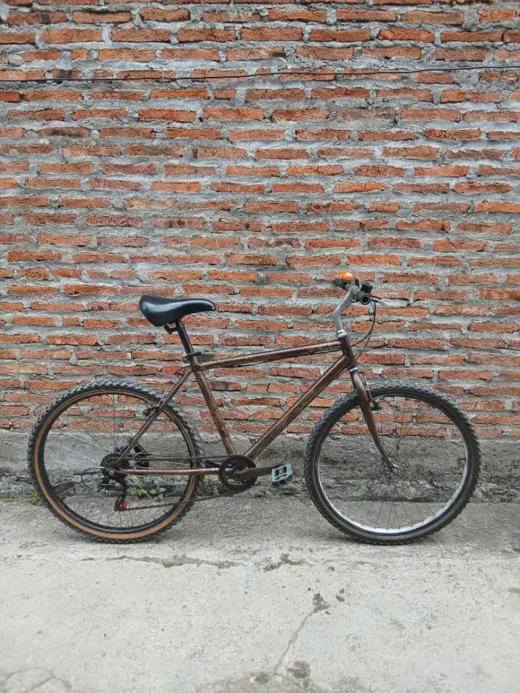 Sepeda vintage master