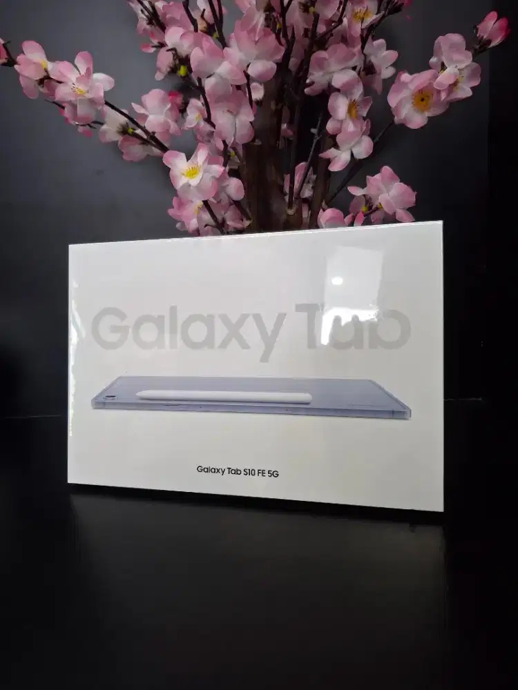 Samsung Tab S10 Fe SEIN