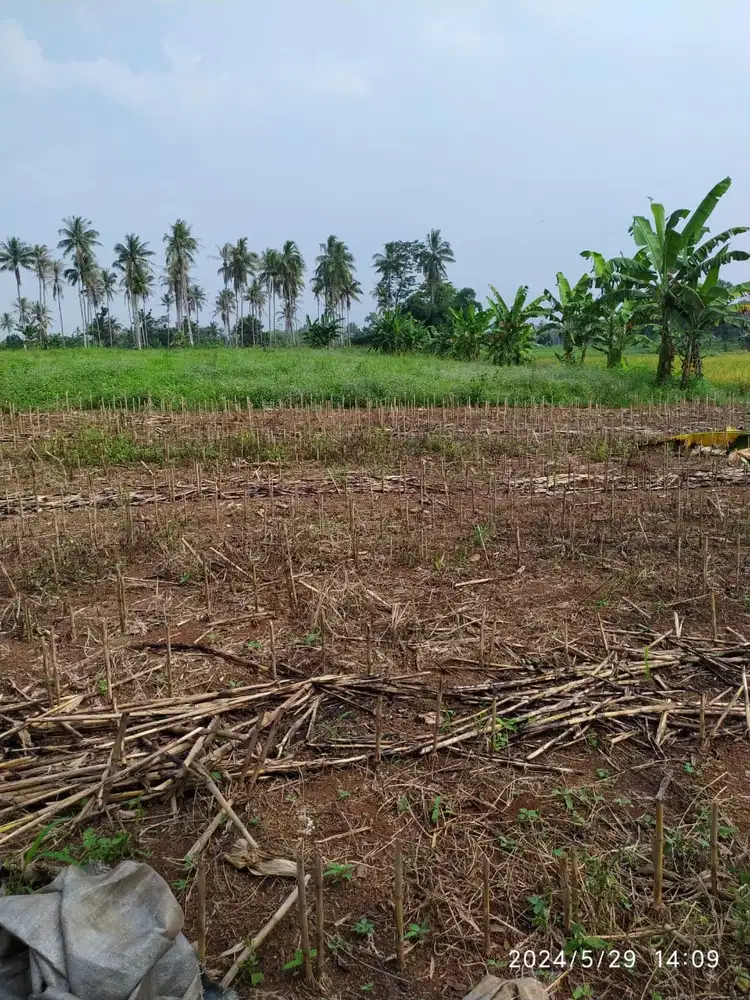 Dijual Tanah 3 Hektar di Natar Lampung Selatan (SHM pecah 3)