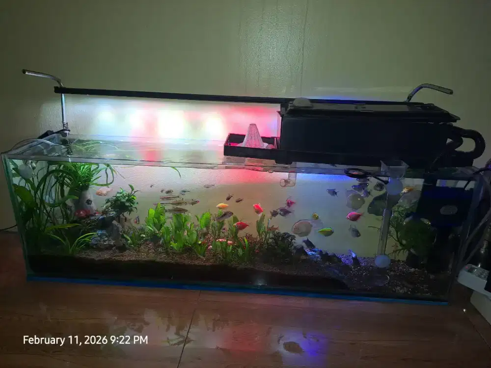 Aquarium 100 x 20 x 30 include filter box Soil 7liter dan tanaman