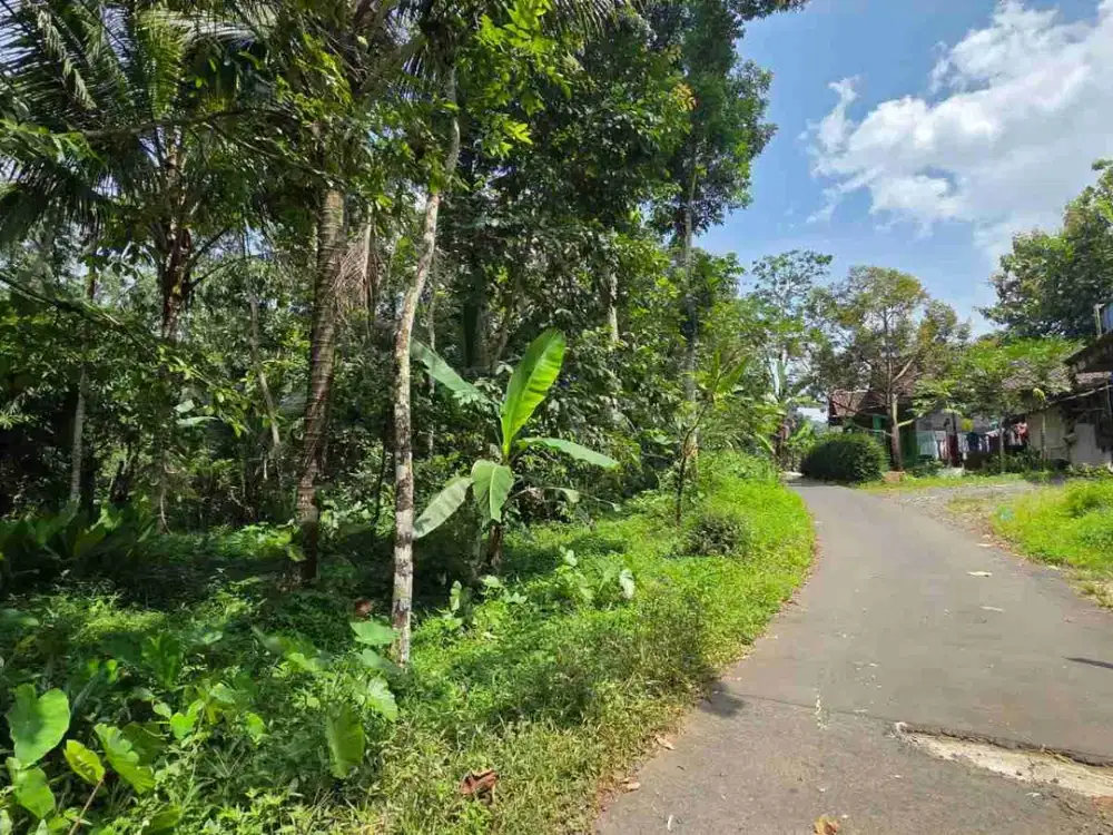 Tanah Harga Murah di Petet Gading Tuntang Semarang