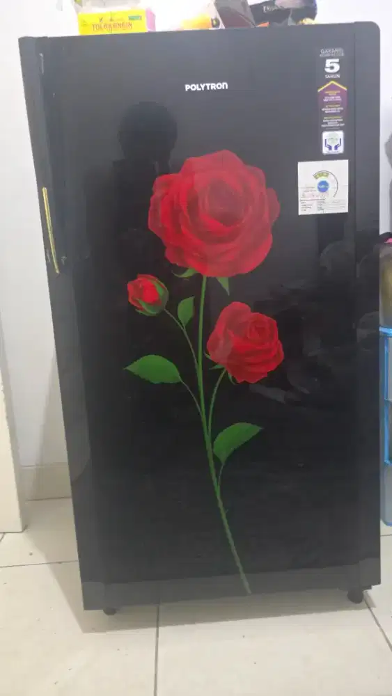 Kulkas 1 pintu polytron