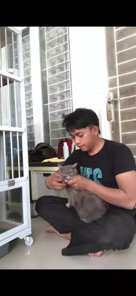 Groming Panggilan murah