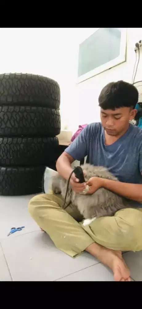 GROMING PANGGILAN MURAH