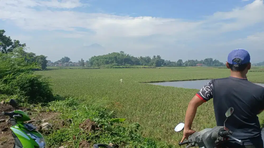 Di jual sawah 82 tumbak dekat wisata situ bagendit