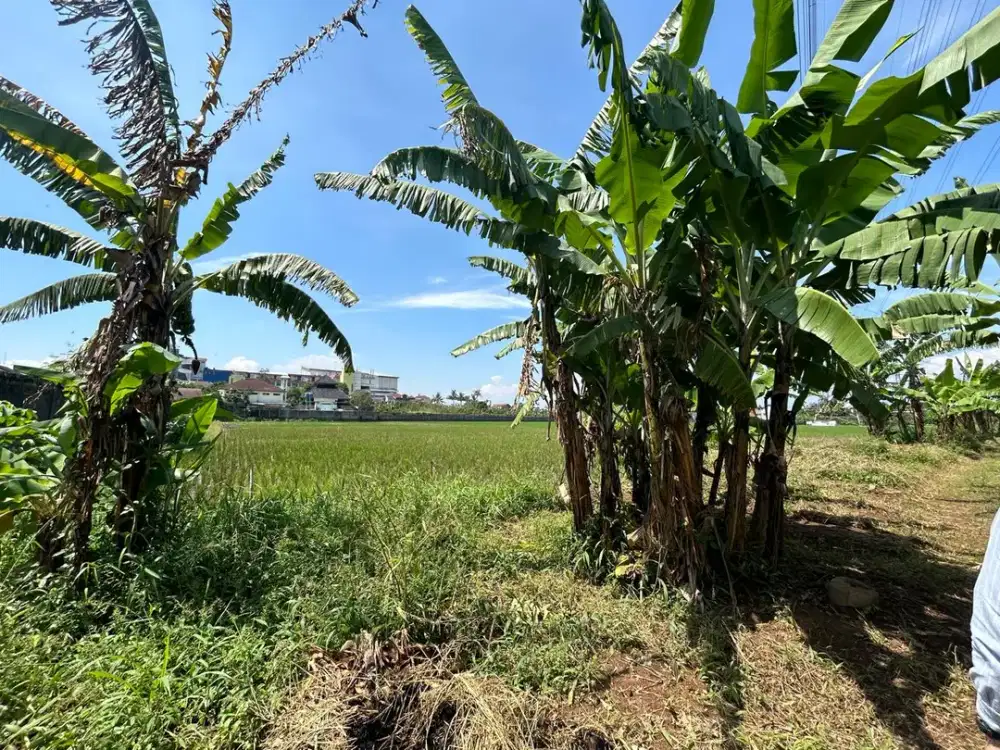 DISEWAKAN KAVLING KOMERSIAL DI JALAN SOEKARNO HATTA, JALAN CIDURIAN & JALAN RANCABOLANG, BANDUNG (2 MUKA)