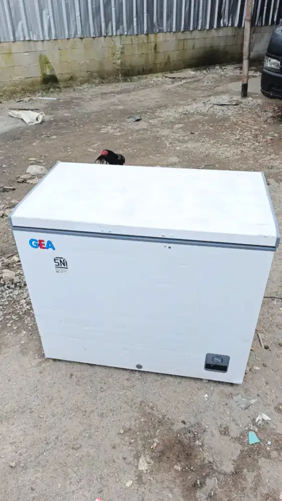 Freezer gea uk 200 L