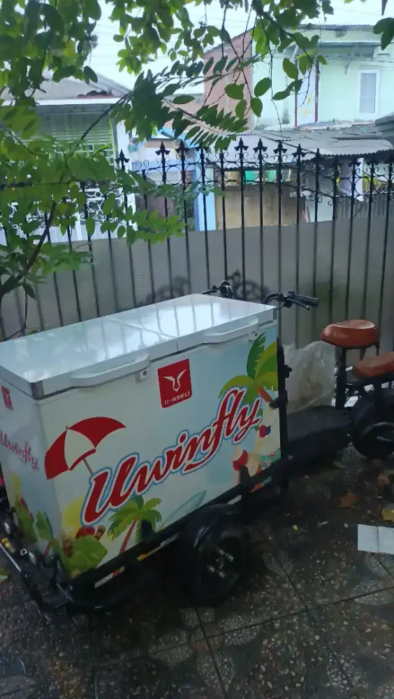 Gerobak Sepeda Listrik Uwinfly