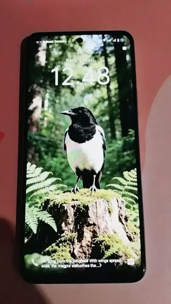 Jual hp vivo tipe Vivo y19s pro