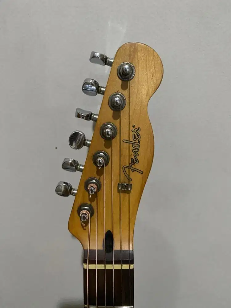 Fender telecoustic original