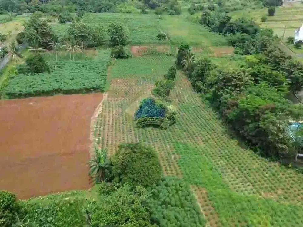 TANAH 5 HEKTAR SHM MURAH DEKAT PASAR CISEENG BOGOR JAWA BARAT