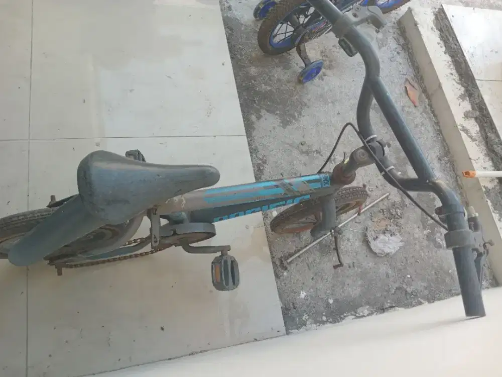 Sepeda Anak Cowok BMX Pasific Bekas