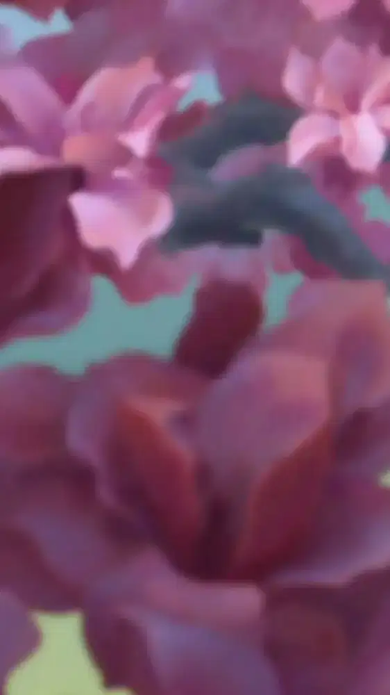 Butuh pekerjaan art atau momong