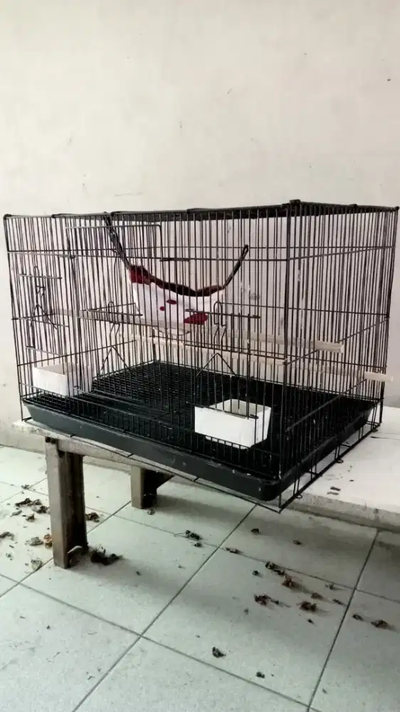 Di jual Kandang Sugar Glider/Burung 40cm x60cm x40cm