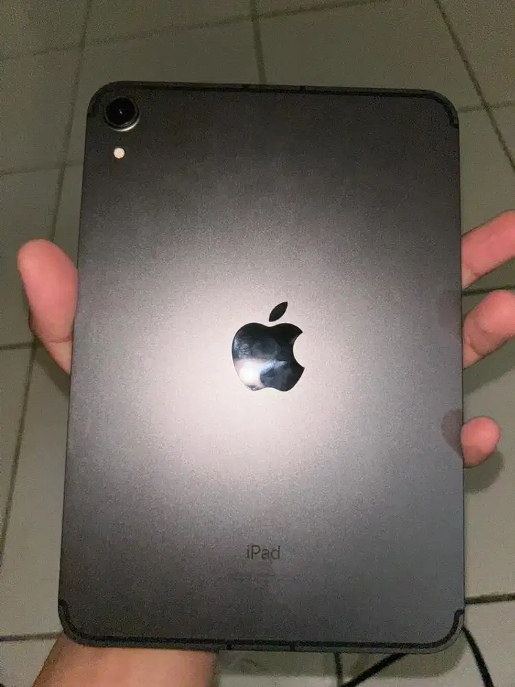Ipad Mini 6 256Gb (Celluler)