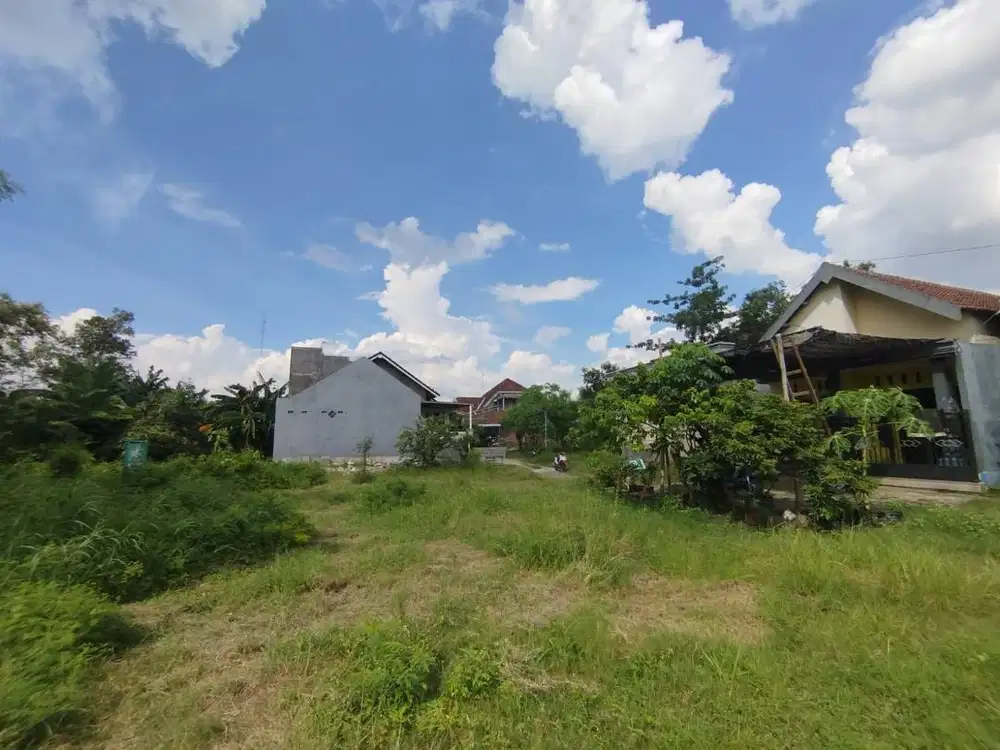 Dijual cepat tanah SHM di Betek Mojoagung