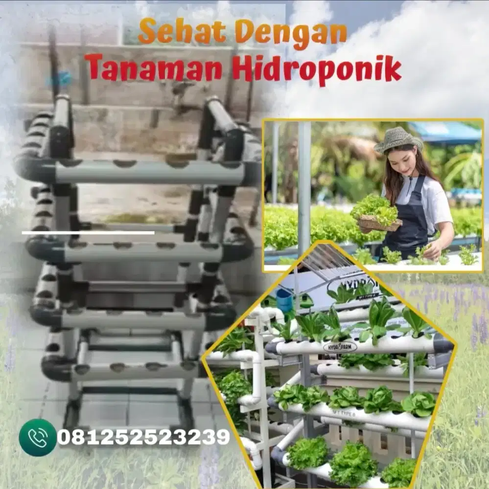Modul Tanaman Hidroponik 48 Lubang Model Terbaru