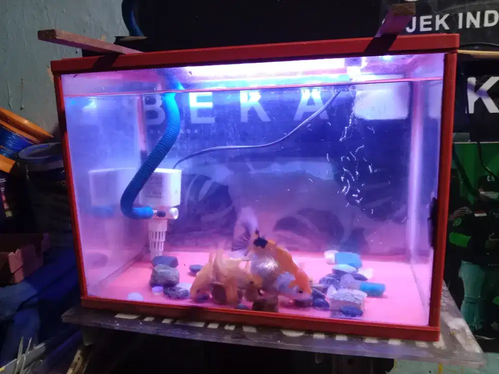 Aquarium ukuran T, P, L. 30x40x25