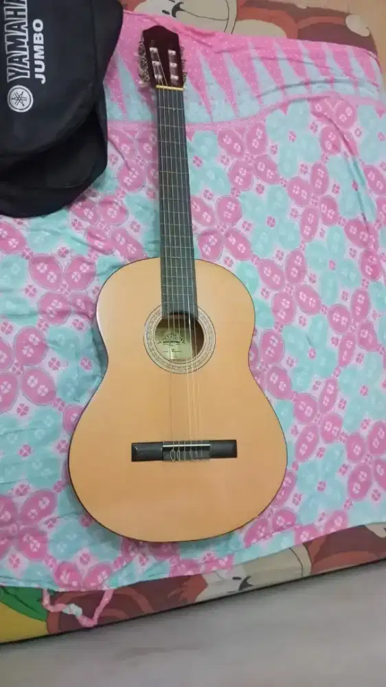 WASHBURN since 1883 mj-01