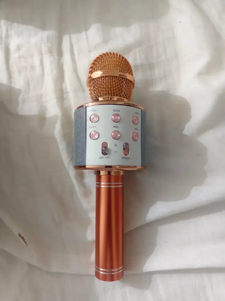 MIC WIRELESSS CANGIH