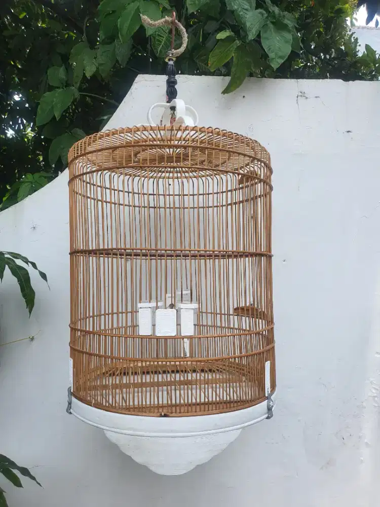 Kurungan Murai batu mentahan DM 50cm