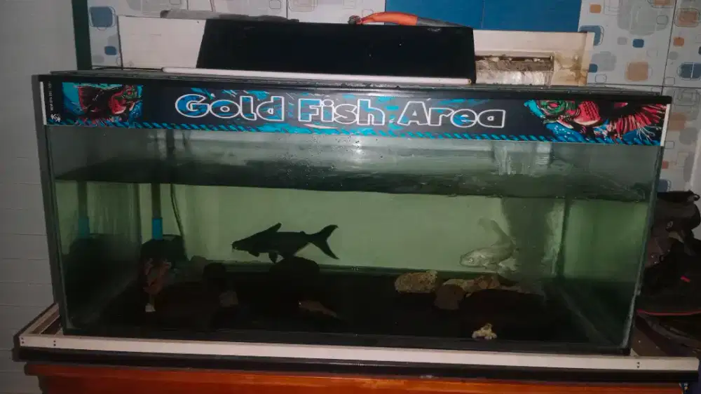 Dijual Aquarium