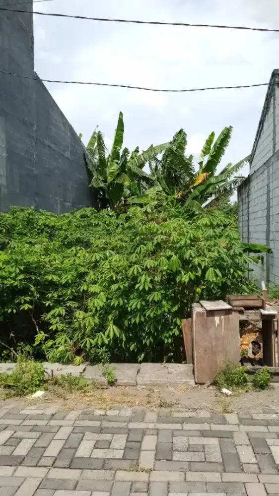 Dijual Tanah Lokasi Pakal Timur Uk 6m x 13m