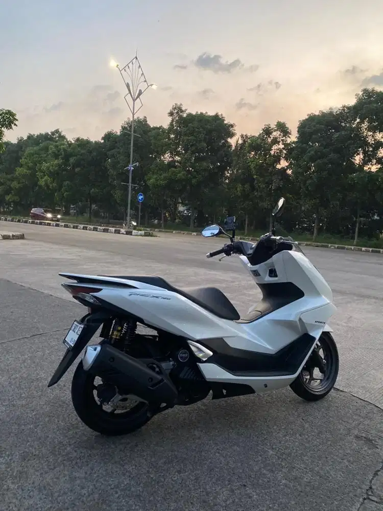 PCX Super mulus